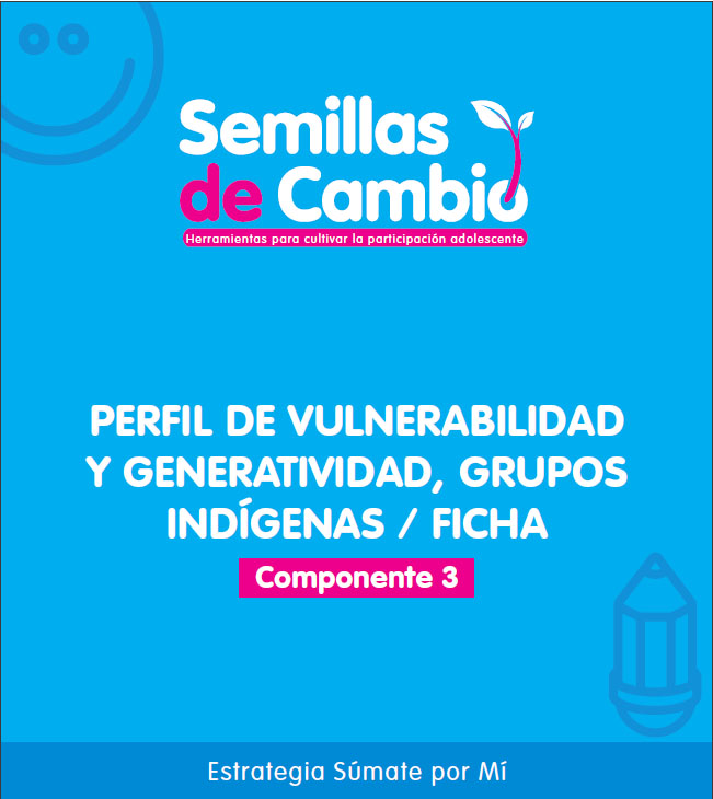 Componente 3. Perfil de vulnerabilidad y generatividad, Grupos Indígenas Ficha