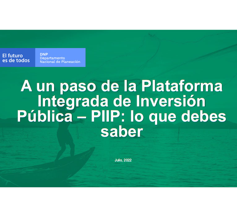 Lanzamiento PIIP - Directora de proyectos e Información para la inversión pública