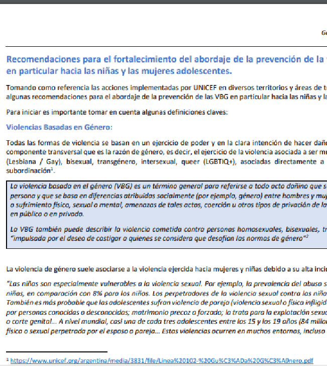 Recomendaciones abordaje Violencias Basadas en Género